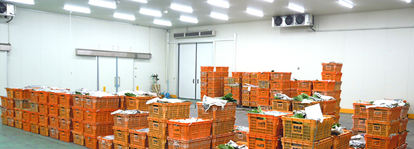  京都府産青果物専用集出荷予冷施設について